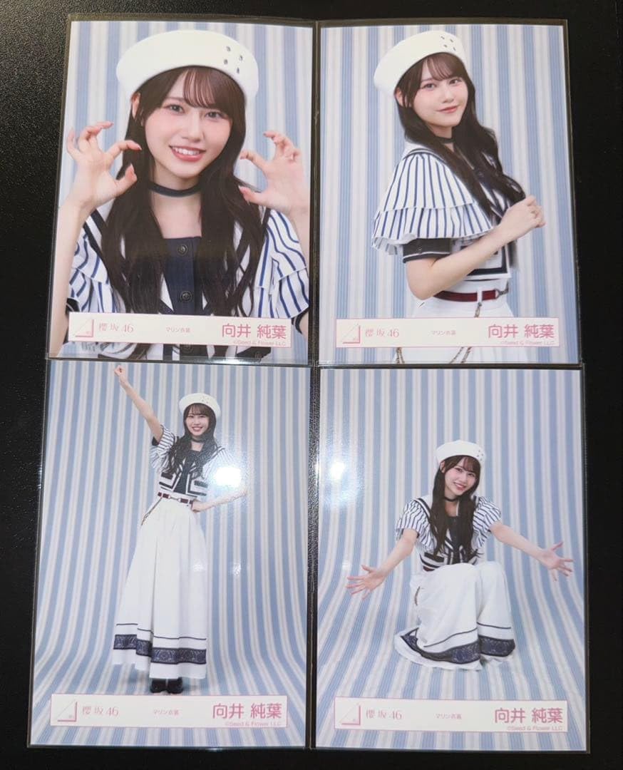 櫻坂46 向井純葉　ジャケ写　MV衣装　マリン衣装　生写真　コンプ Amazon.co.jp: 向井純葉 生写真 マリン衣装 コンプ : おもちゃ